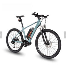 27.5 Inch Aluminum Alloy Vic Motor 9 Speeds Mountain Electric Bike 2020